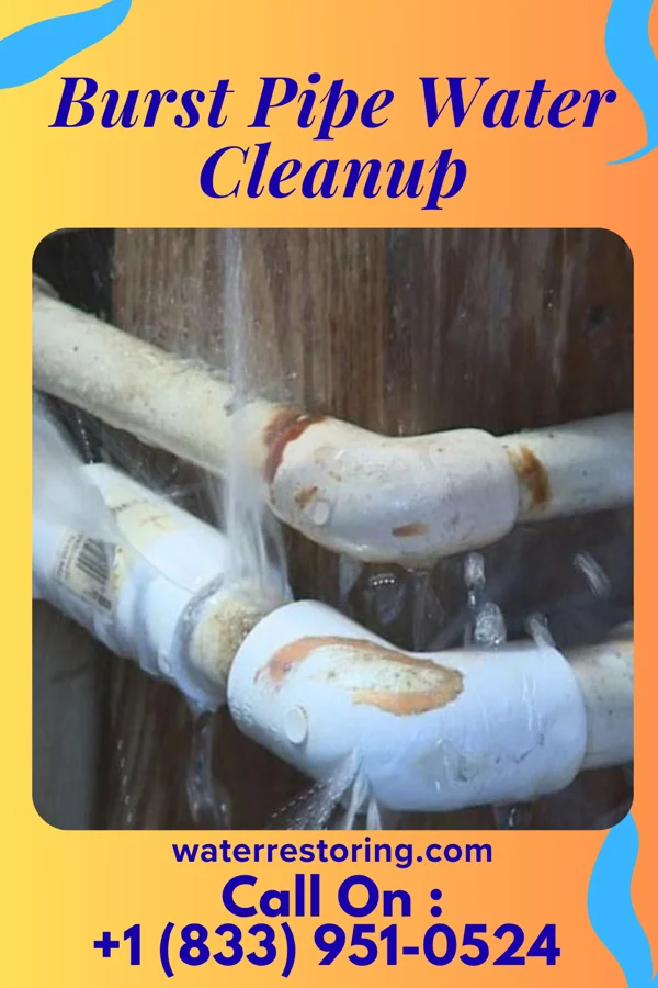 Burst Pipe Water Cleanup in Malabar, FL